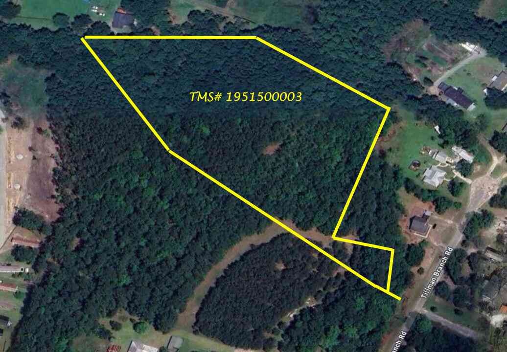 Vacant Land For Sale - Tillman Branch Road<br/> Summerville, SC 29486