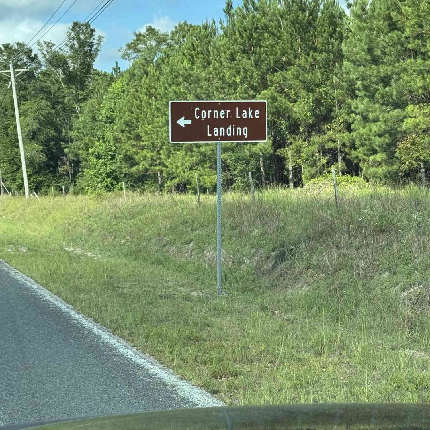 Vacant Land For Sale - 485 Corner  Lake Road<br/> Jasper County, Grays, SC 29916