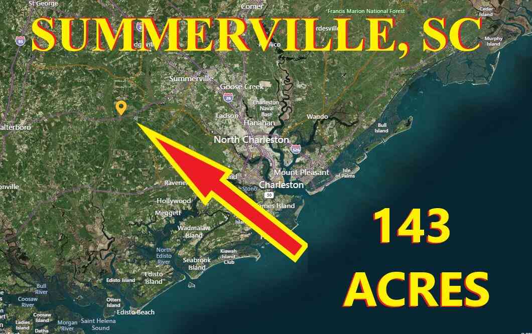 Vacant Land For Sale - S Hwy 17 S<br/> Ridgeville, SC 29472