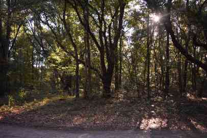 Vacant Land For Sale - 139 Earnestine Drive<br/> Georgetown, SC 29440