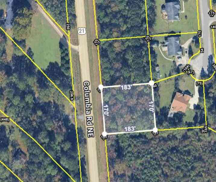 Vacant Land For Sale - 4664 NE Columbia Road<br/> Orangeburg County, Orangeburg, SC 29118