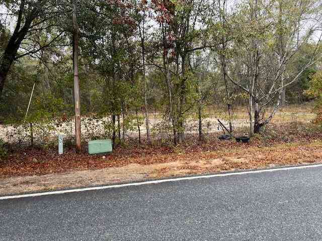 Vacant Land For Sale - 750 Majority Road<br/> Orangeburg County, Orangeburg, SC 29118