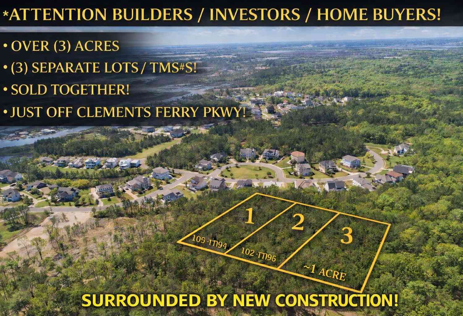 Vacant Land For Sale - Joyner Lane<br/> Berkeley County, Cainhoy, SC 29492