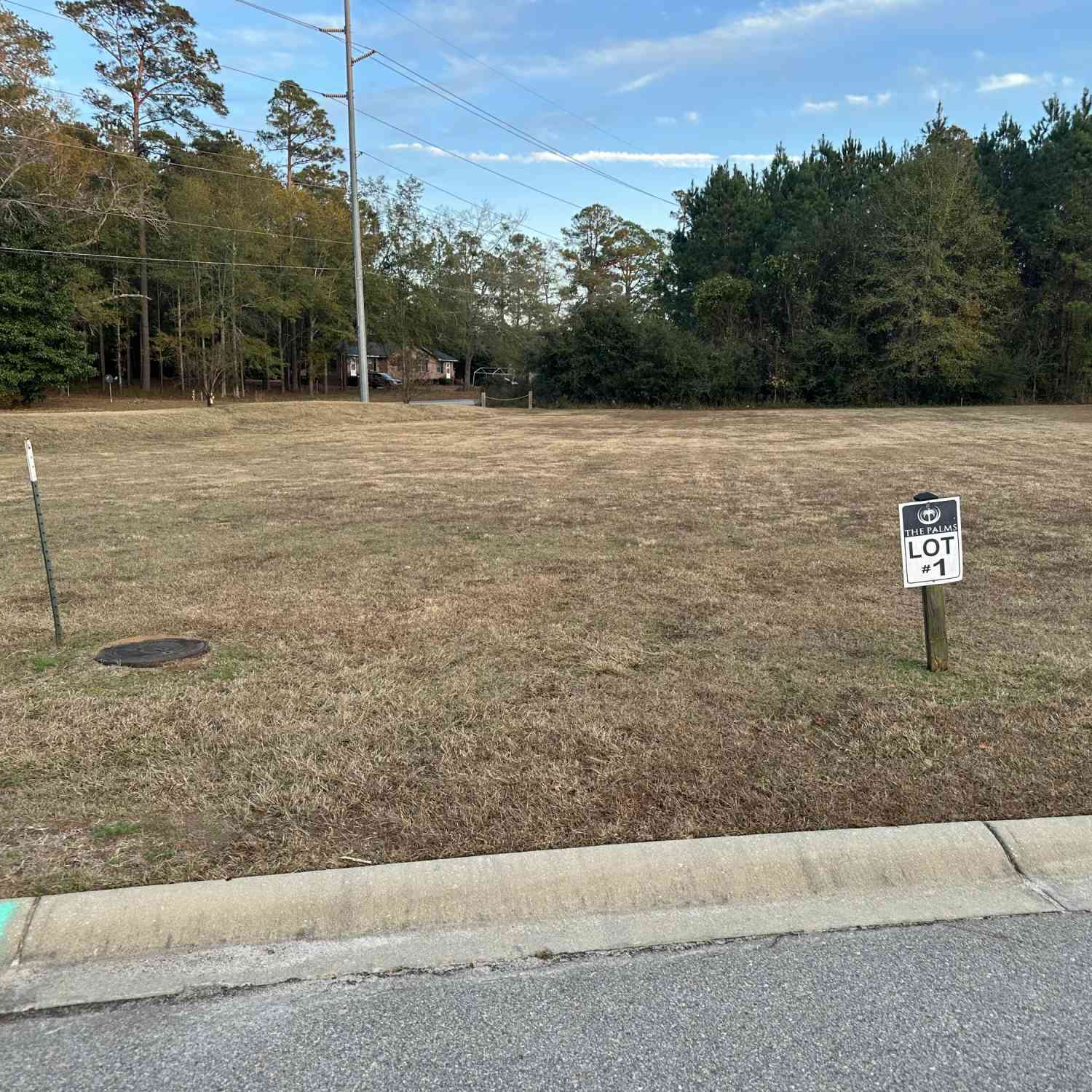 Slider Thumb
