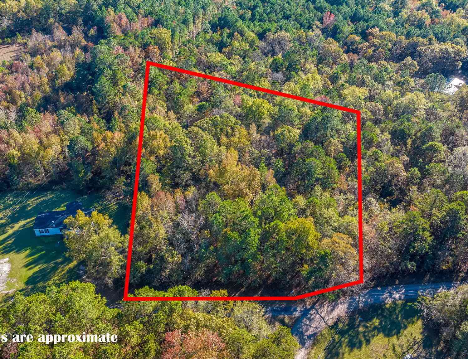 Vacant Land For Sale - Muscle Way<br/> Berkeley County, Pineville, SC 29468
