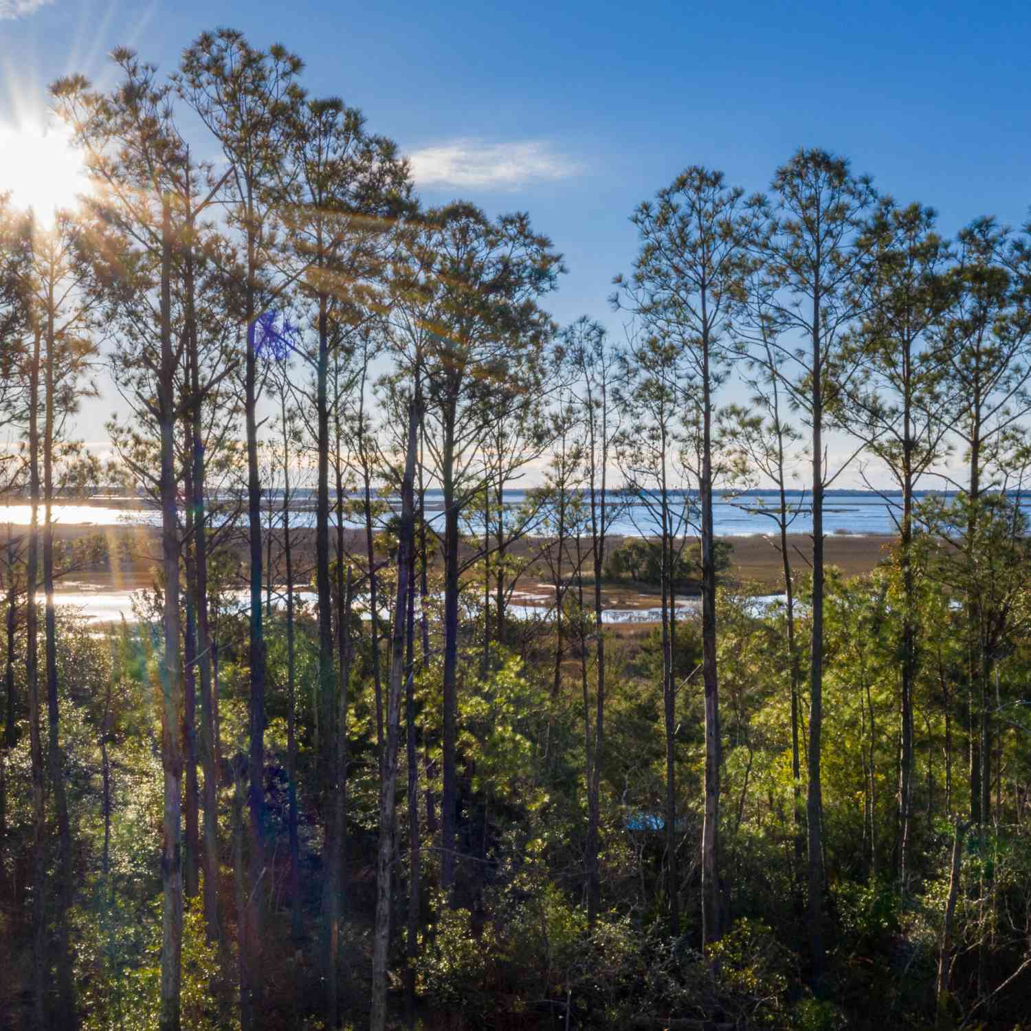 Mobile Home For Sale - 2292 Minifarm Way #526<br/> Mount Pleasant, SC 29466