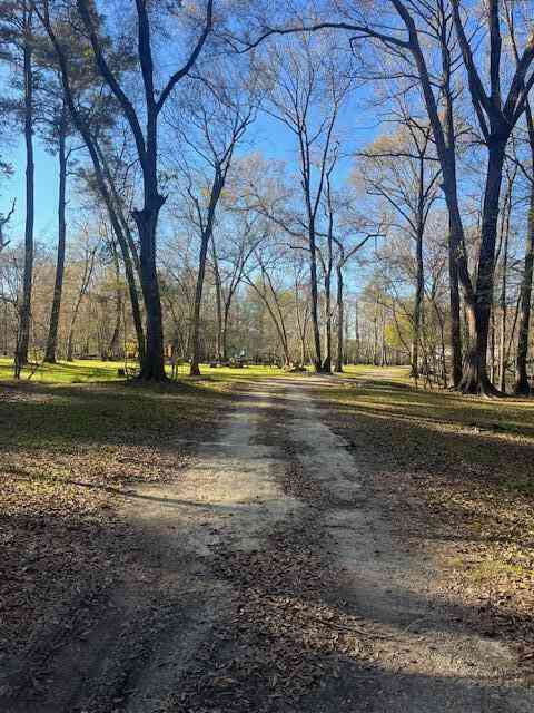 Vacant Land For Sale - 41 Mendel Court<br/> Round O, SC 29474