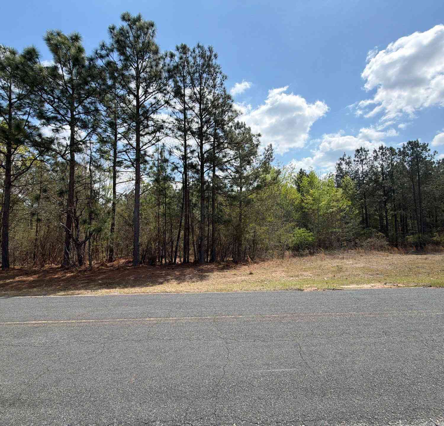 Vacant Land For Sale - CVA 2 Mt. Calvary Road #CVA 2<br/> Ridge Spring, SC 29129