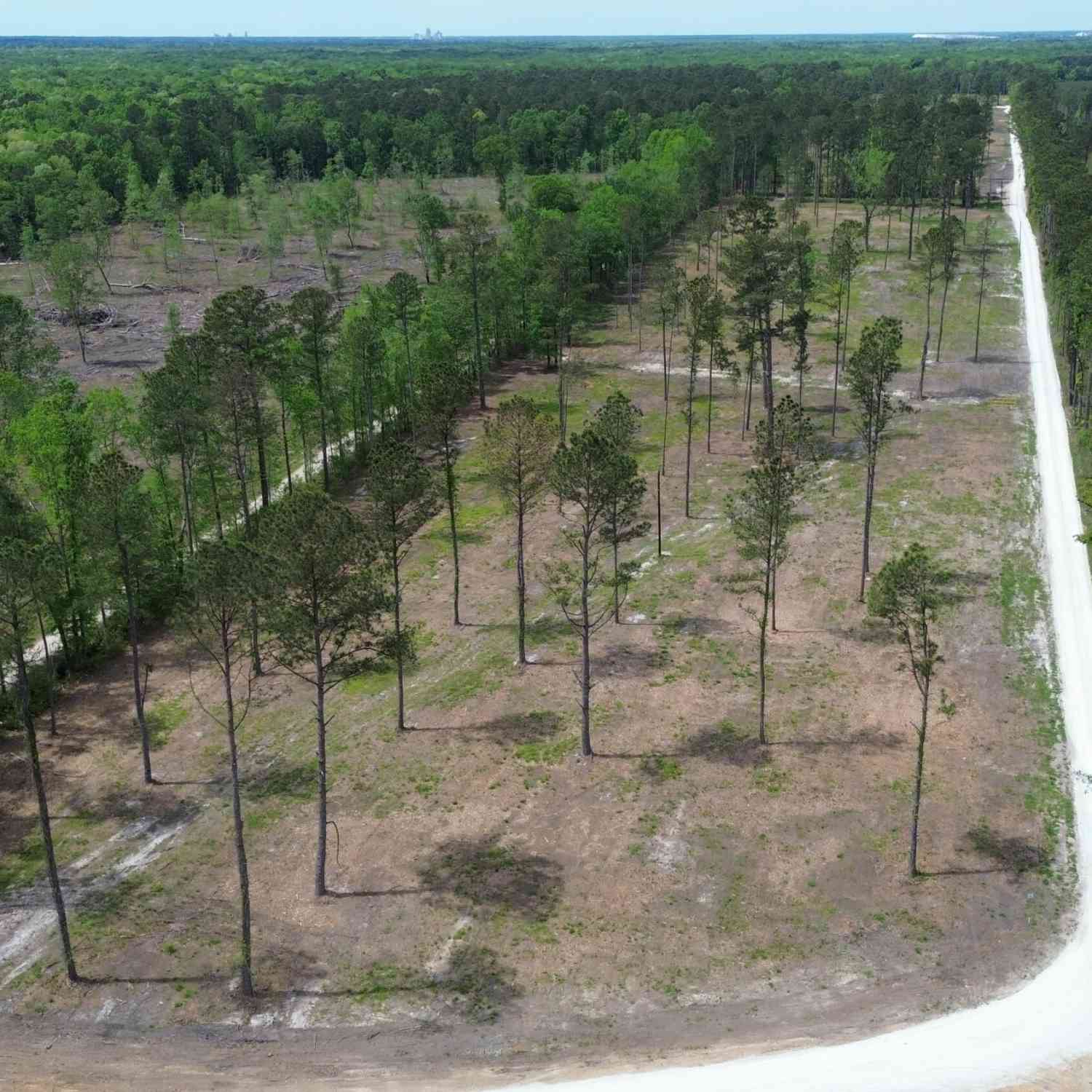 Vacant Land For Sale - 2 Highway 27<br/> Holly Hill, SC 29059