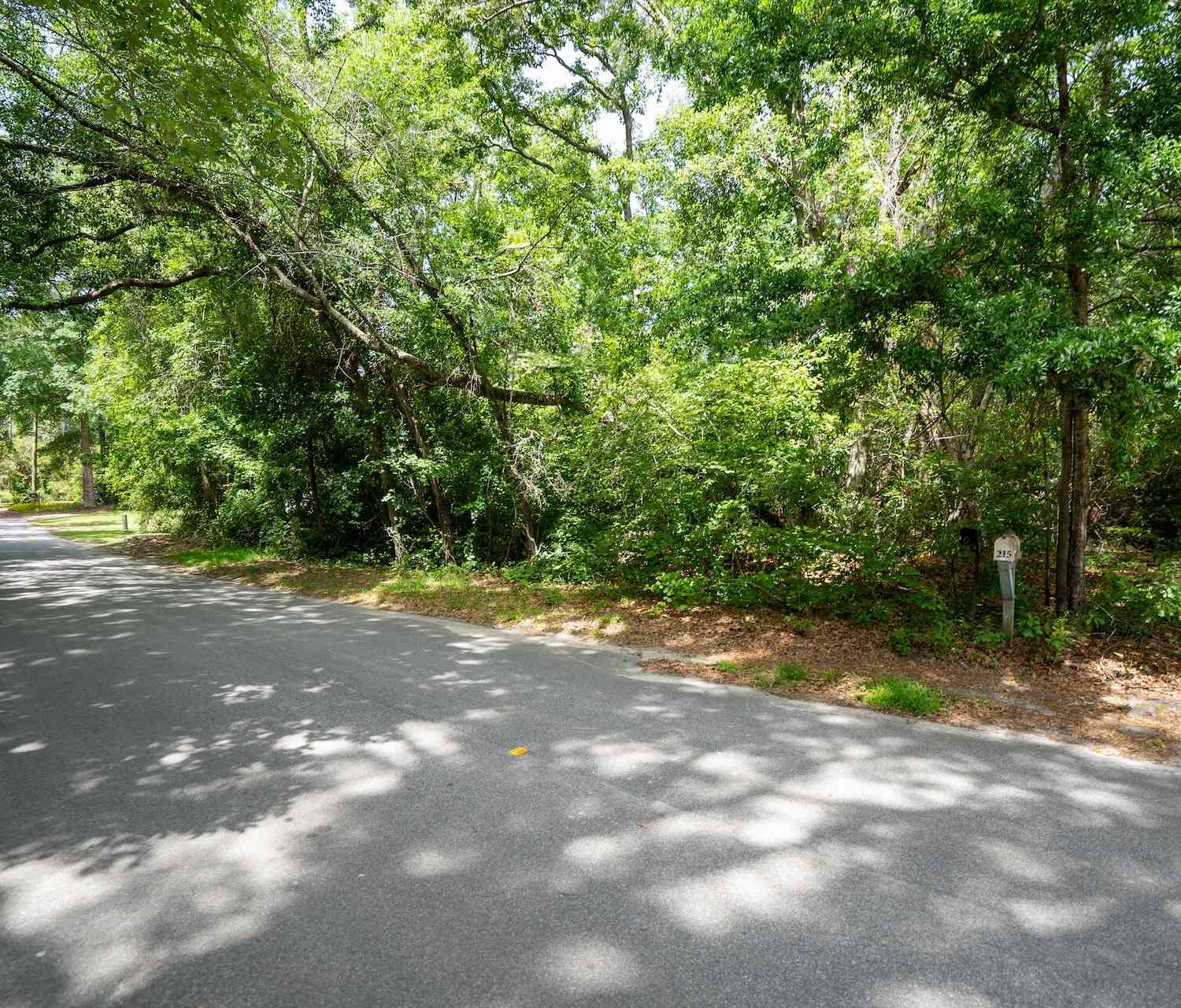 Vacant Land For Sale - 8 Sable Street<br/> Walterboro, SC 29488