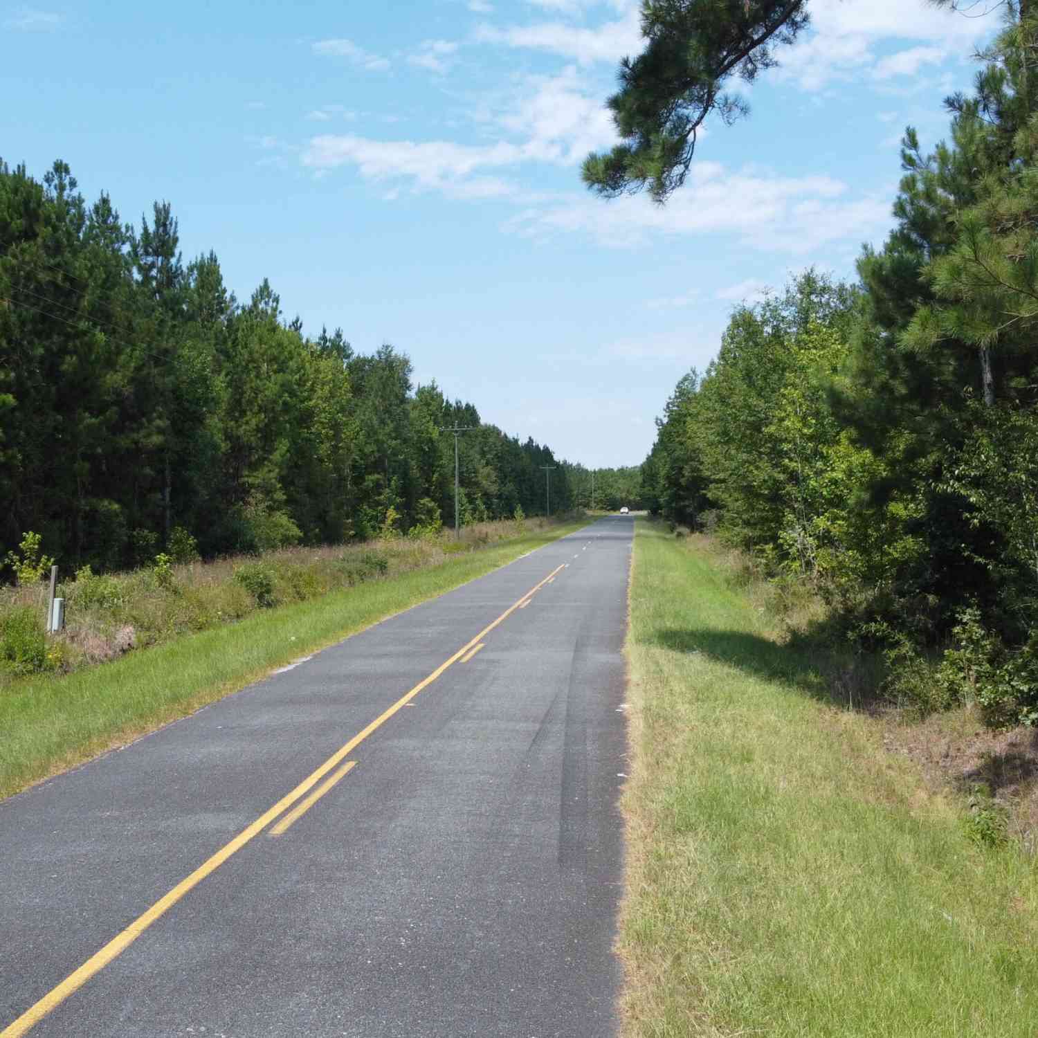 Vacant Land For Sale - 1 Farmington Road<br/> Clarendon County, Gable, SC 29051