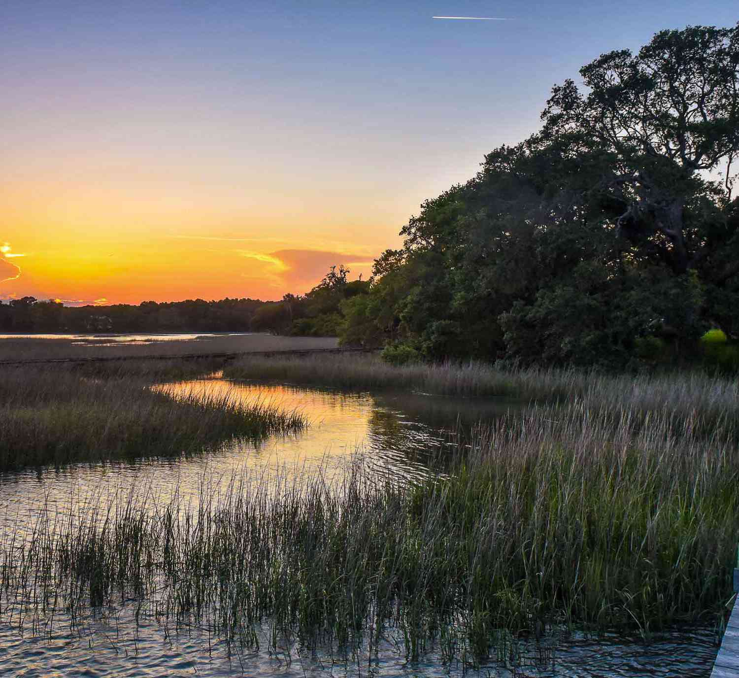 Vacant Land For Sale - 6001 Selkirk Plantation Road<br/> Wadmalaw Island, SC 29487