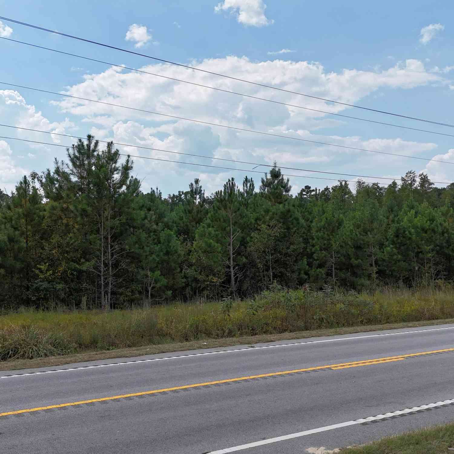 Vacant Land For Sale - 00 Old Number 6 Hwy<br/> Elloree, SC 29047