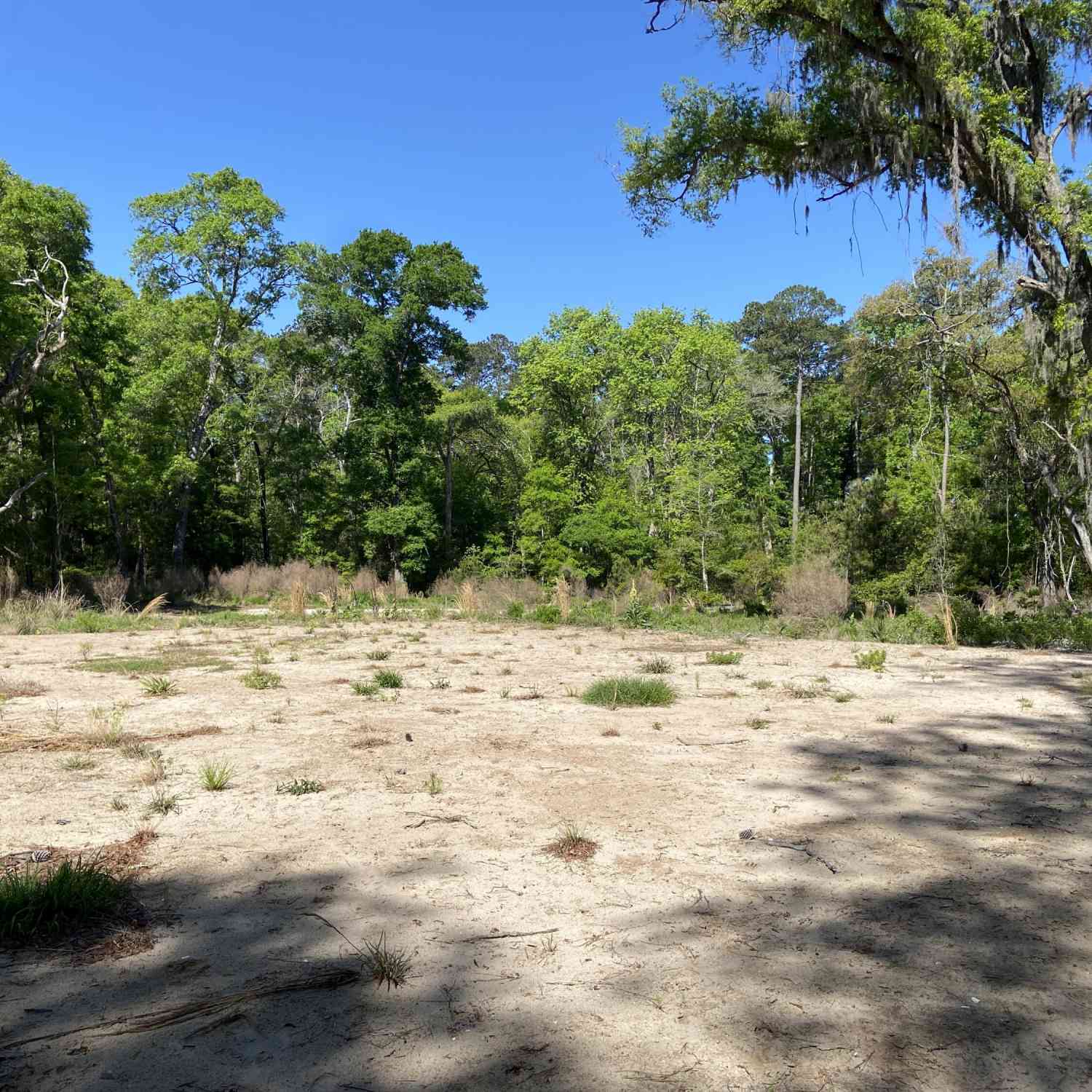 Vacant Land For Sale - 6079 Josie Ridge Road<br/> Wadmalaw Island, SC 29487
