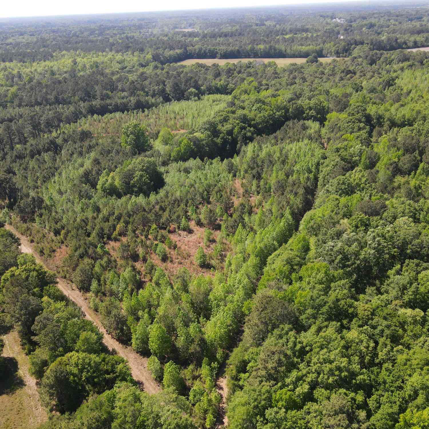 Vacant Land For Sale - Cottage Lane<br/> Saint Stephen, SC 29479