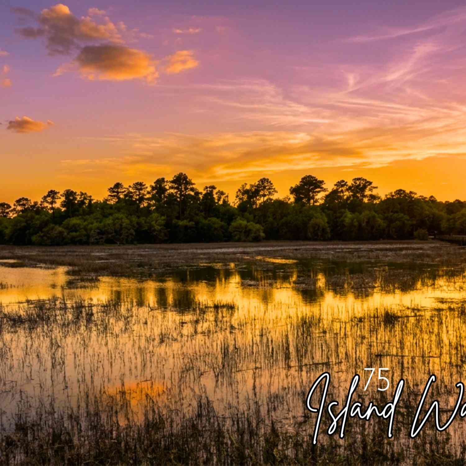 Vacant Land For Sale - 75 Island Way<br/> Seabrook, SC 29940