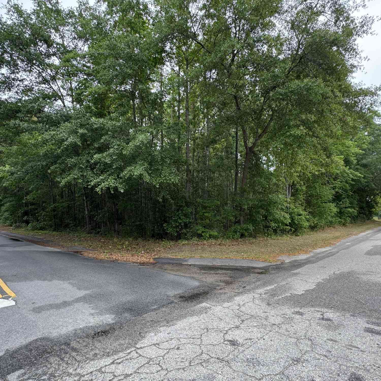 Vacant Land For Sale - 00 Ellis Avenue<br/> Estill, SC 29918
