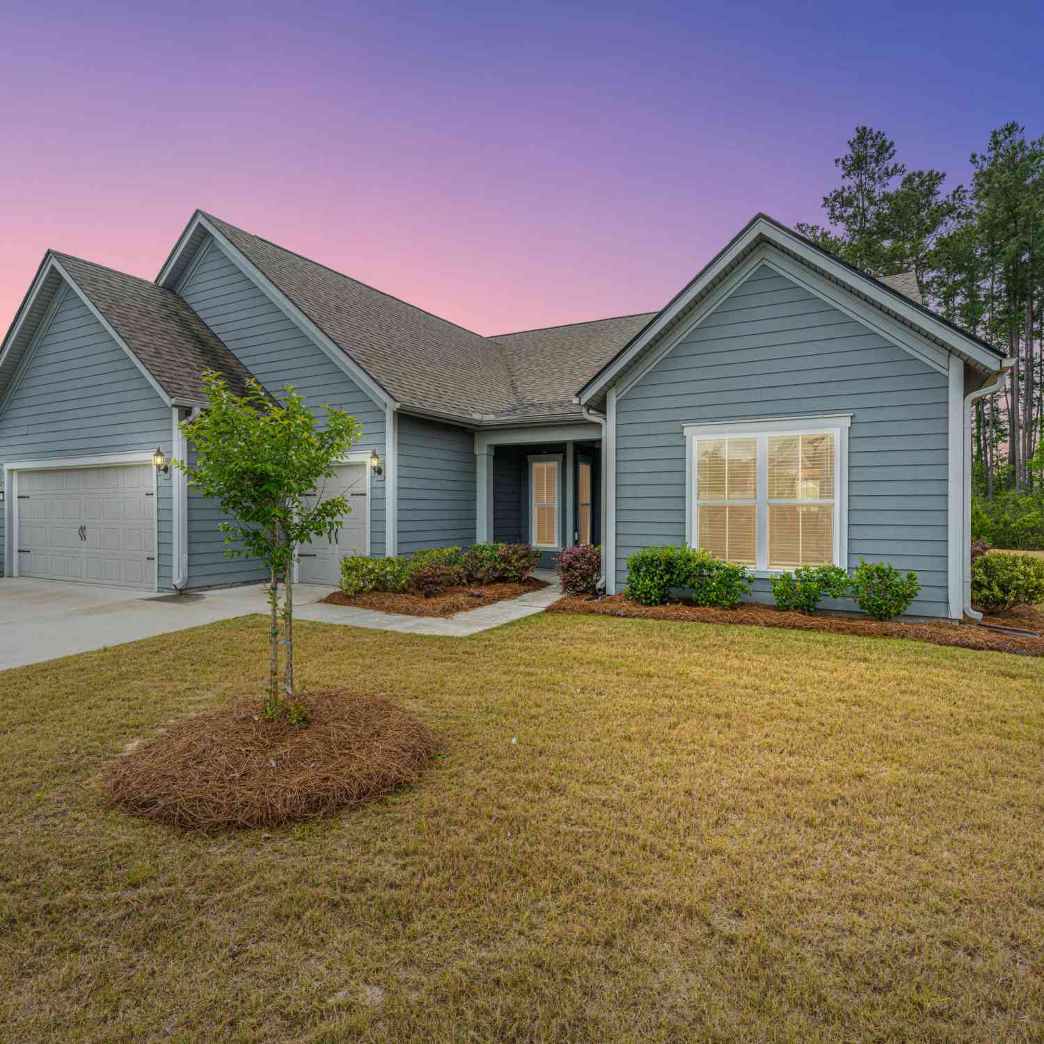 Homes For Sale - 410 Elm Cove Way<br/> Berkeley County, Summerville, SC 29486