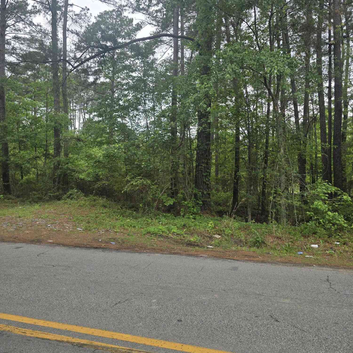 Vacant Land For Sale - Pete Ewers Drive<br/> Summerville, SC 29483