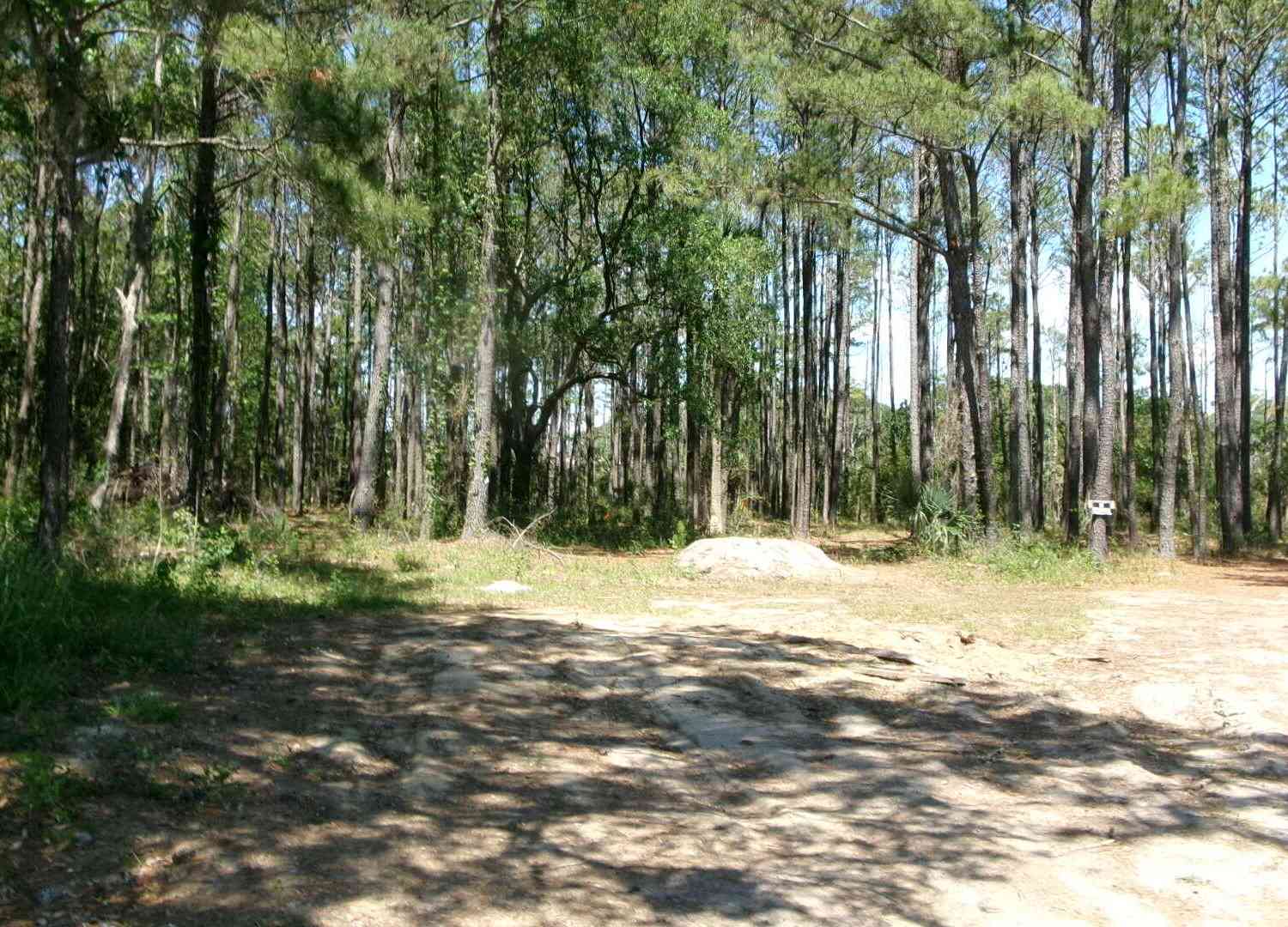 Vacant Land For Sale - 1108 Saint Thomas Island Drive<br/> Wando, SC 29492
