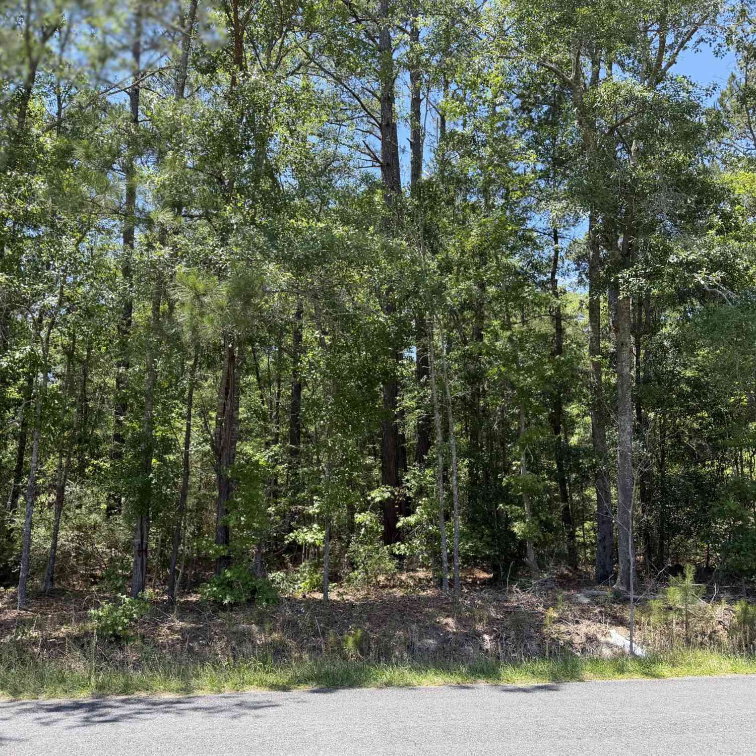 Vacant Land For Sale - Hideaway Drive<br/> Ridgeville, SC 29472