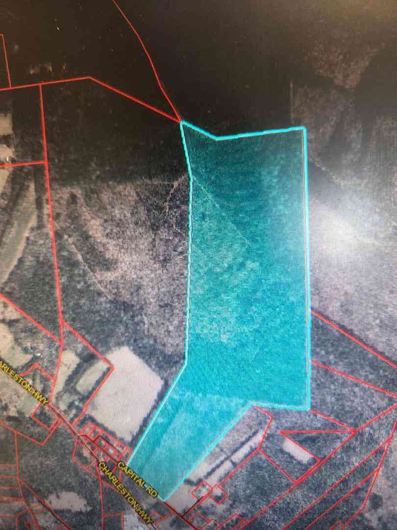 Vacant Land For Sale - Capital Road<br/> Jacksonboro, SC 29452