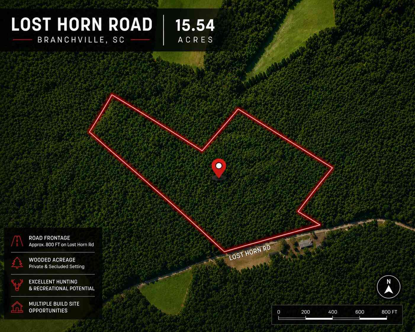 Vacant Land For Sale - 1 Lost Horn Road<br/> Branchville, SC 29432
