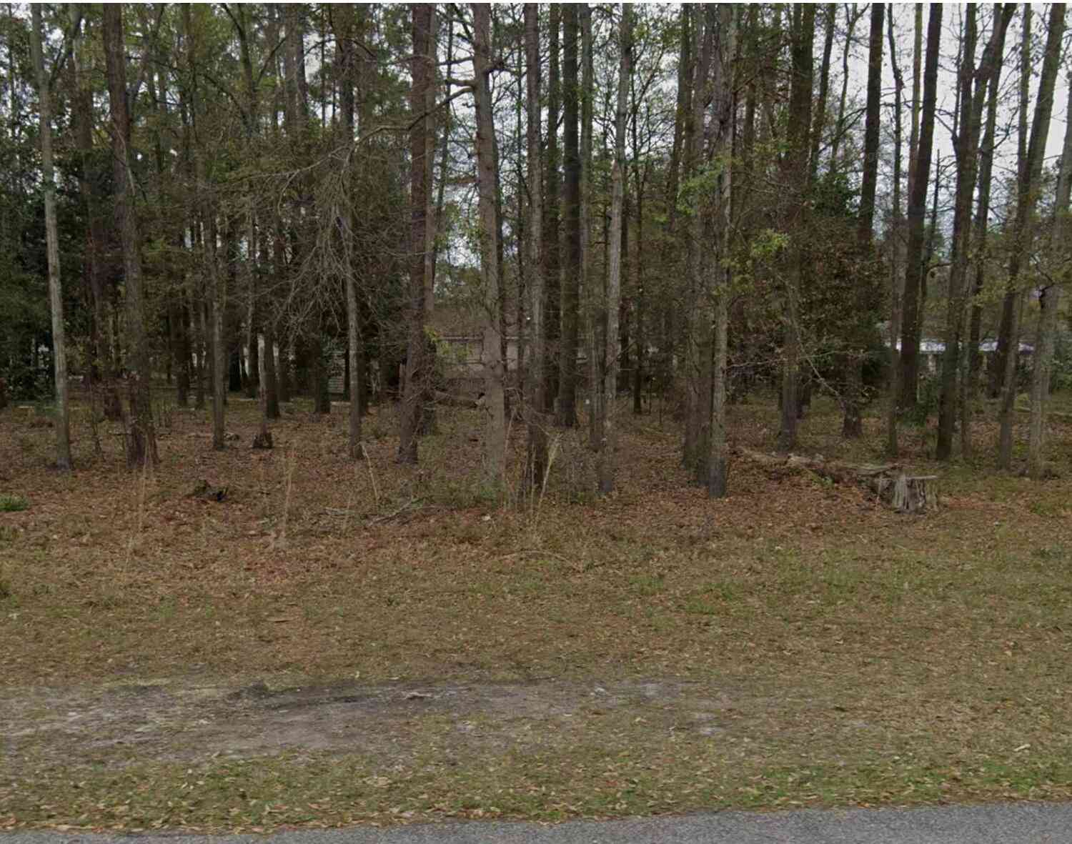 Vacant Land For Sale - 0-3 Hazel Street<br/> Walterboro, SC 29488