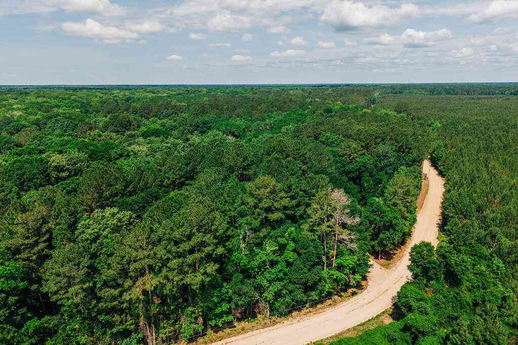Vacant Land For Sale - Parnel Road<br/> Cope, SC 29038