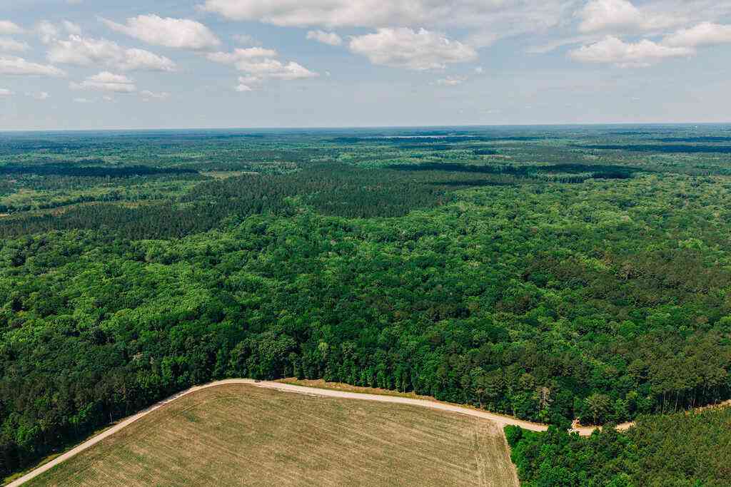 Vacant Land For Sale - 1 Parnel Road<br/> Cope, SC 29038