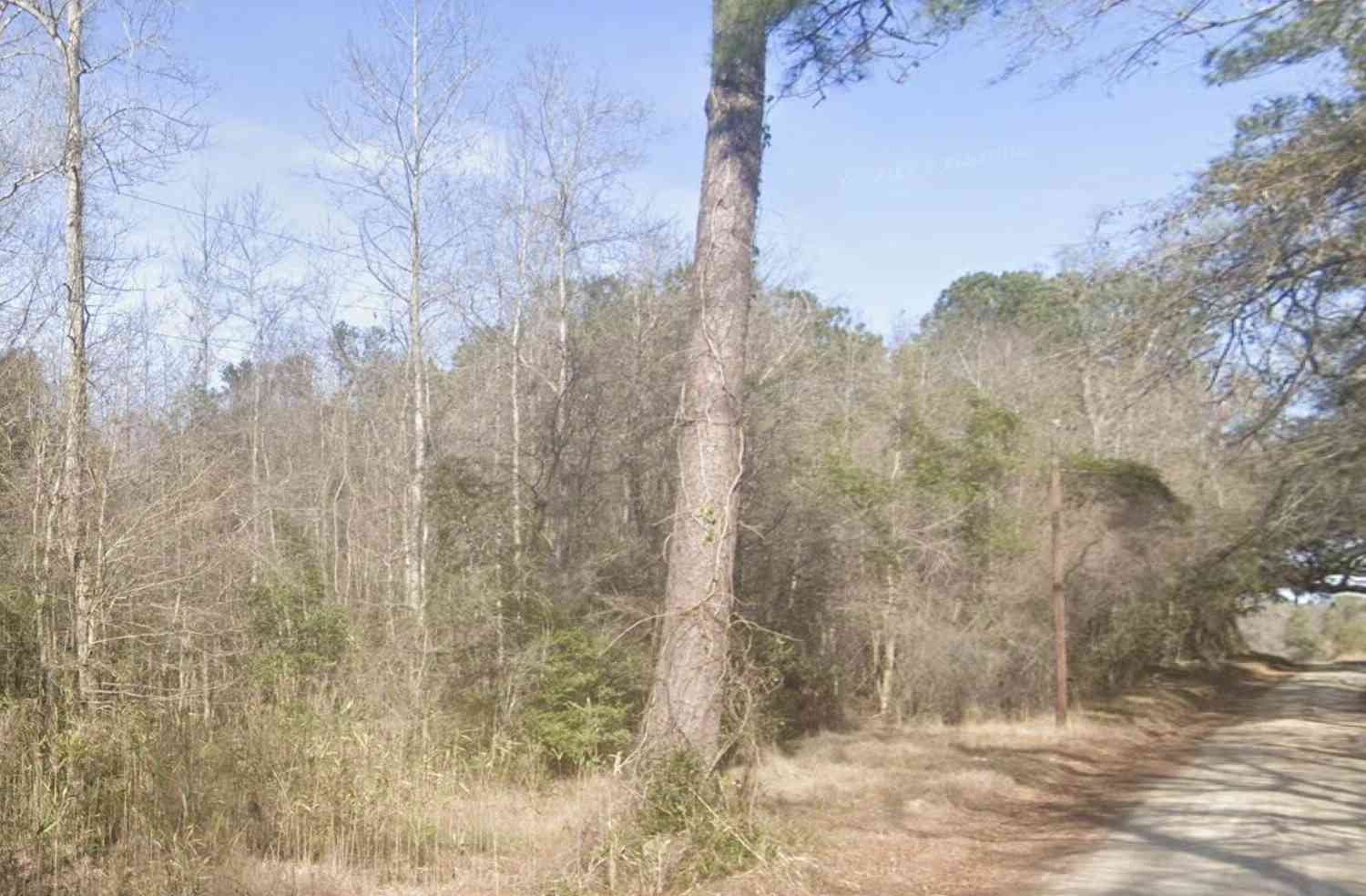 Vacant Land For Sale - Snake Branch Road<br/> Round O, SC 29474