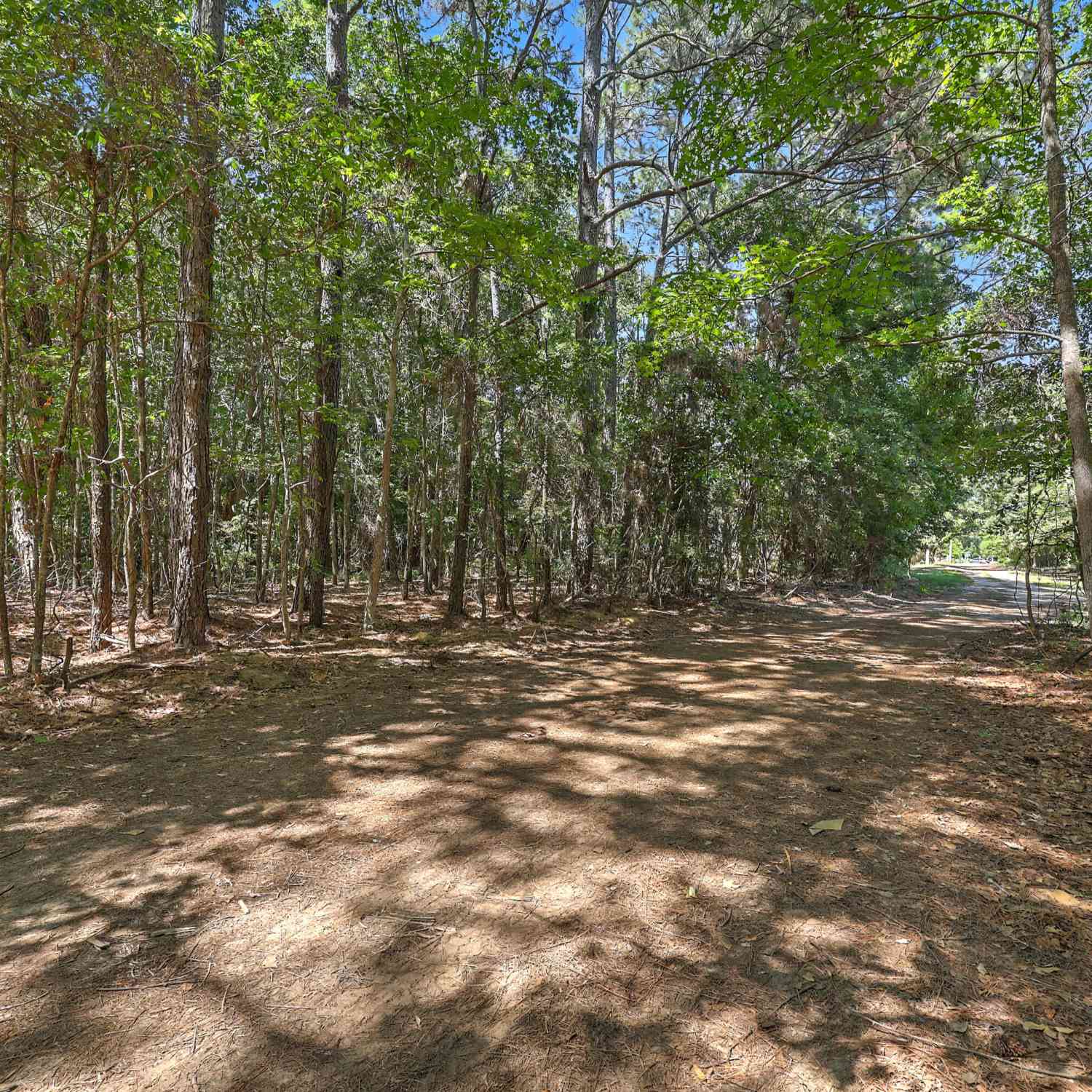Vacant Land For Sale - LOT 6 Nelson View Drive<br/> Mount Pleasant, SC 29429