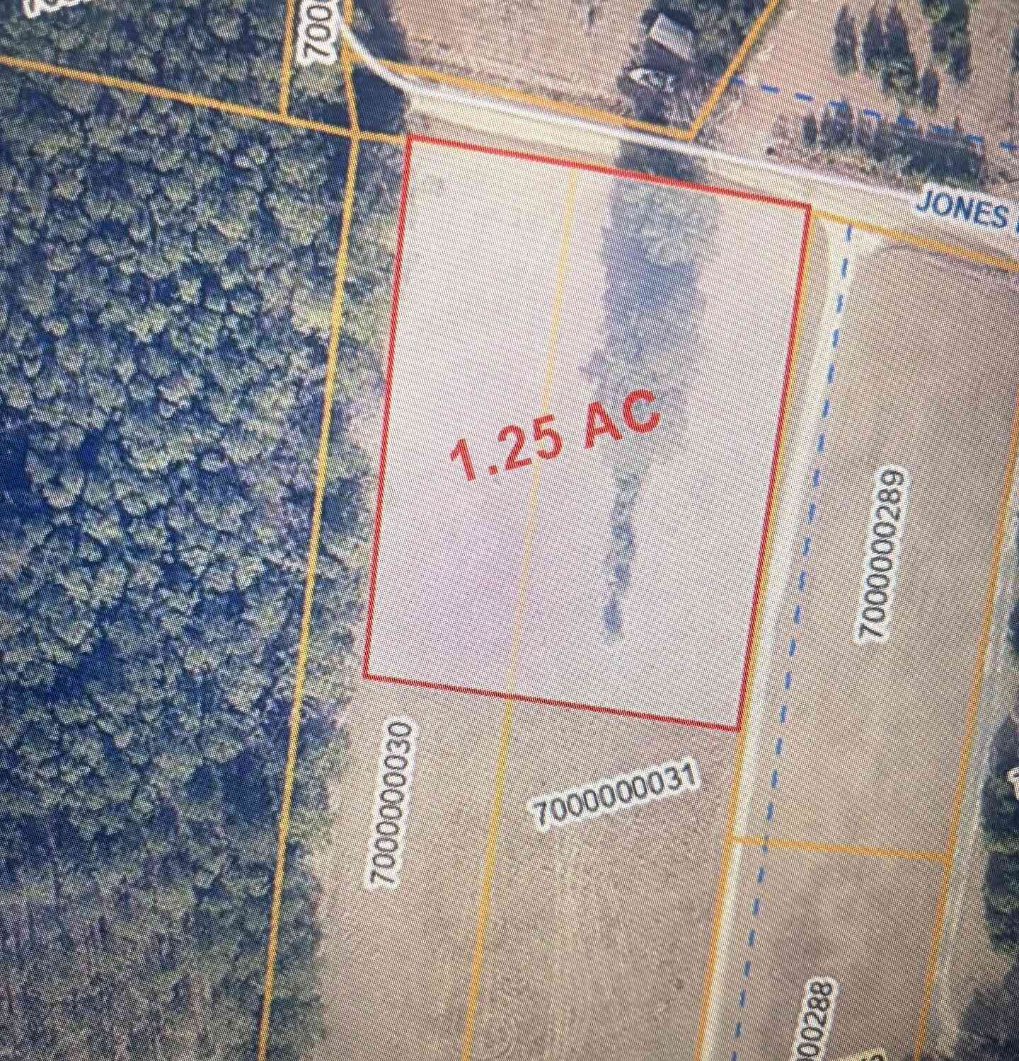 Vacant Land For Sale - Jones Road<br/> Awendaw, SC 29429