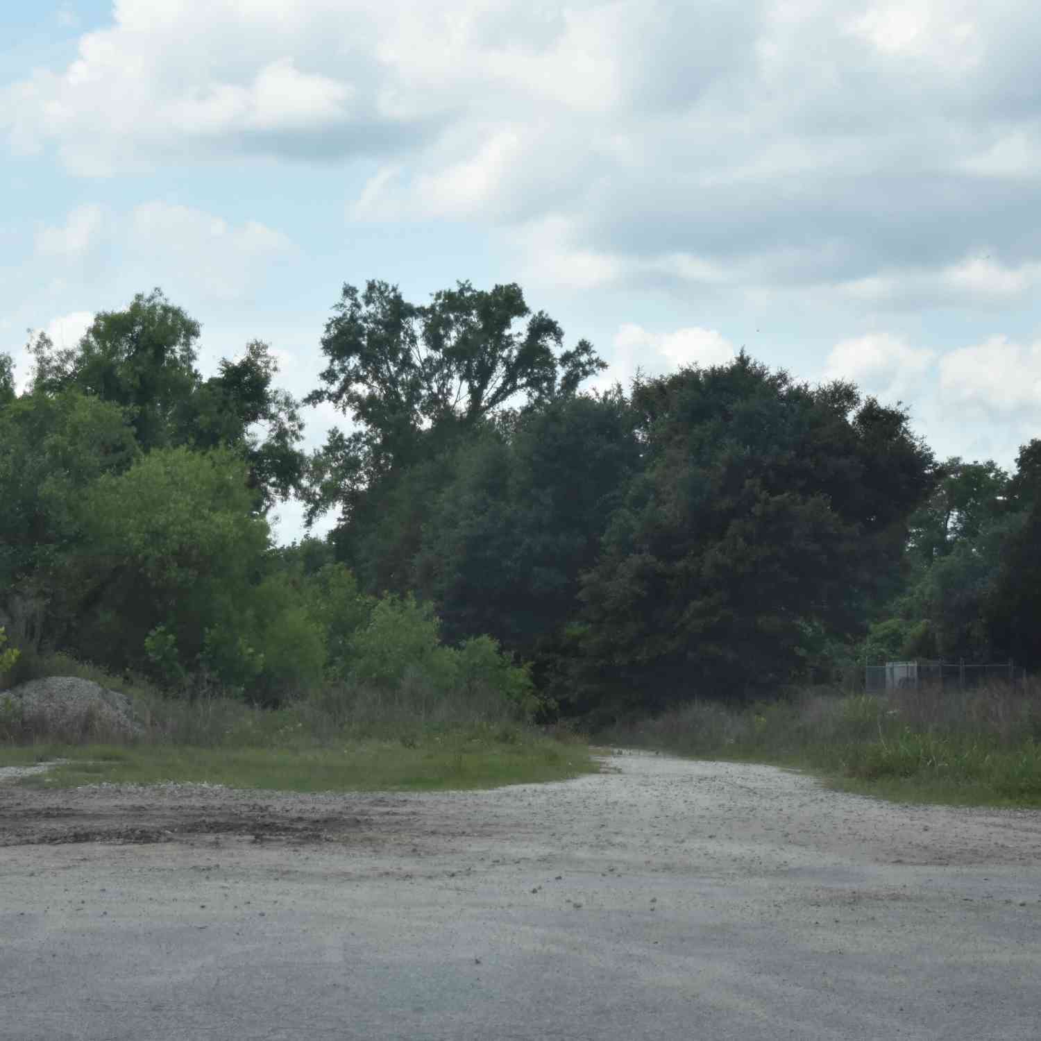 Vacant Land For Sale - TBD E Main Street<br/> Williamsburg County, Kingstree, SC 29556