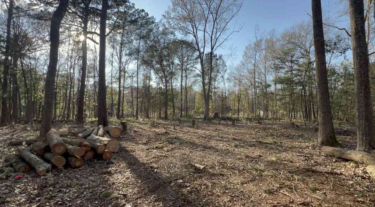 Vacant Land For Sale - Sol Farm Road<br/> Johns Island, SC 29455