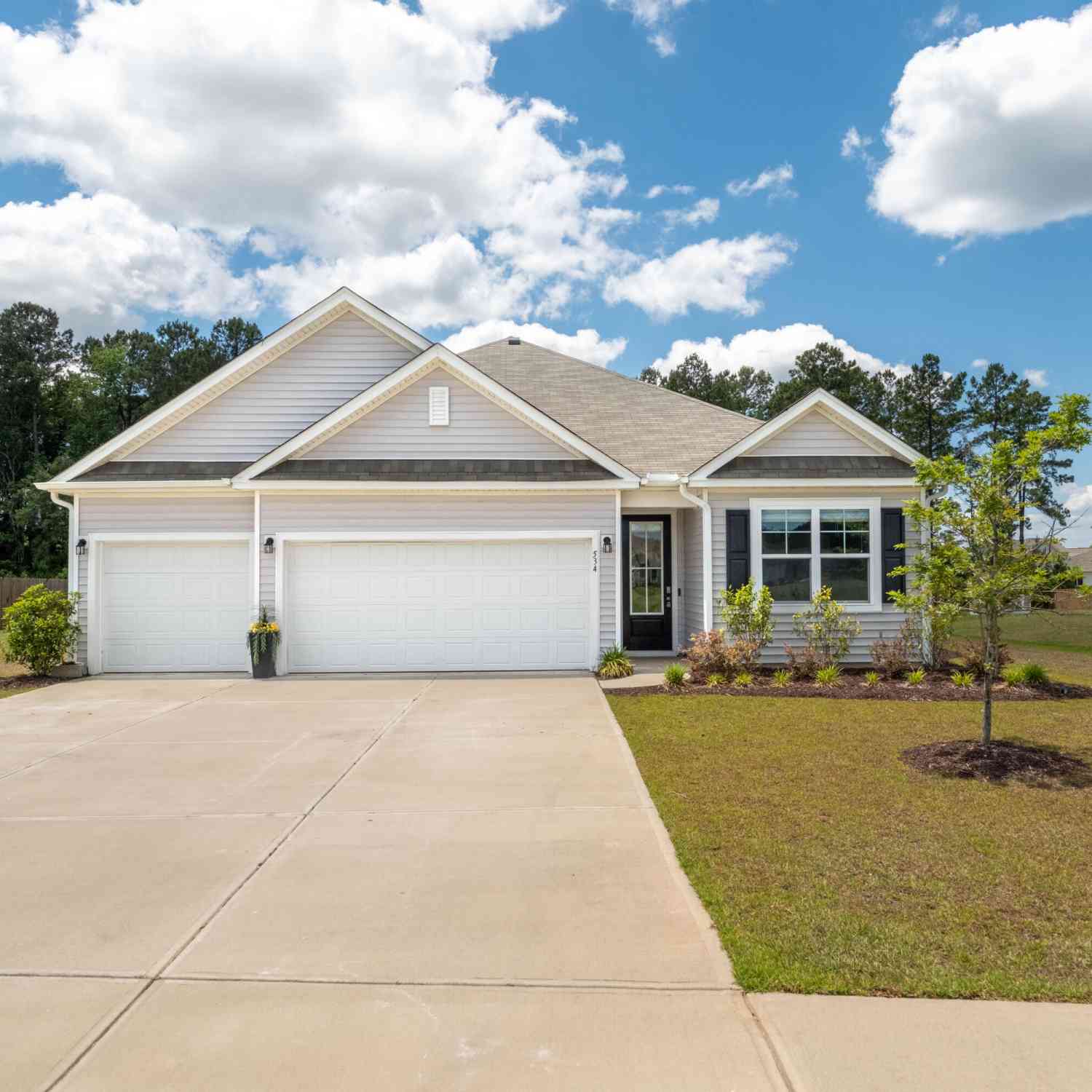 Homes For Sale - 534 Misty Bluff Circle<br/> Huger, SC 29450