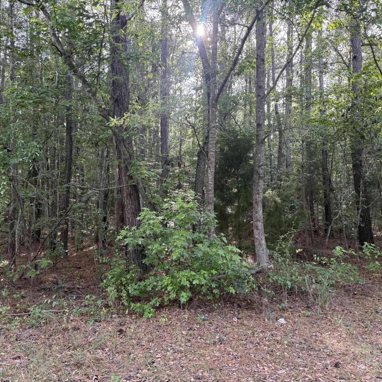 Vacant Land For Sale - 00 Sable Lane<br/> Huger, SC 29450