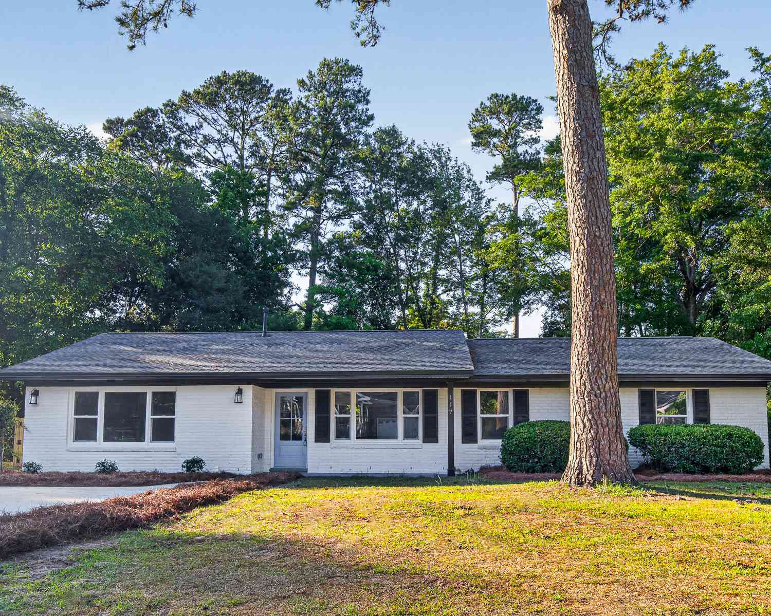 Homes For Sale - 117 Camelia Drive<br/> Summerville, SC 29485