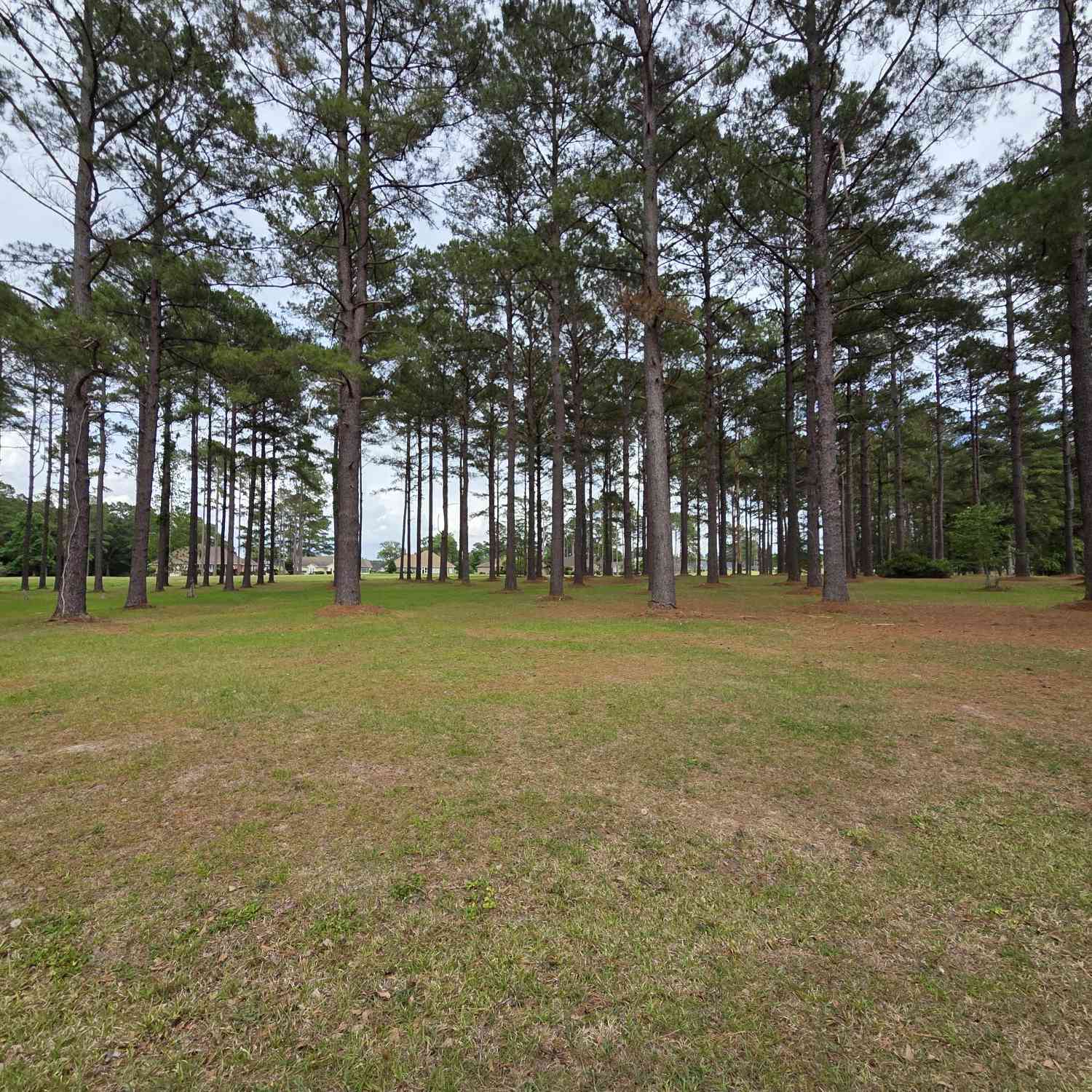 Vacant Land For Sale - 402 Pinelake Court<br/> Manning, SC 29102