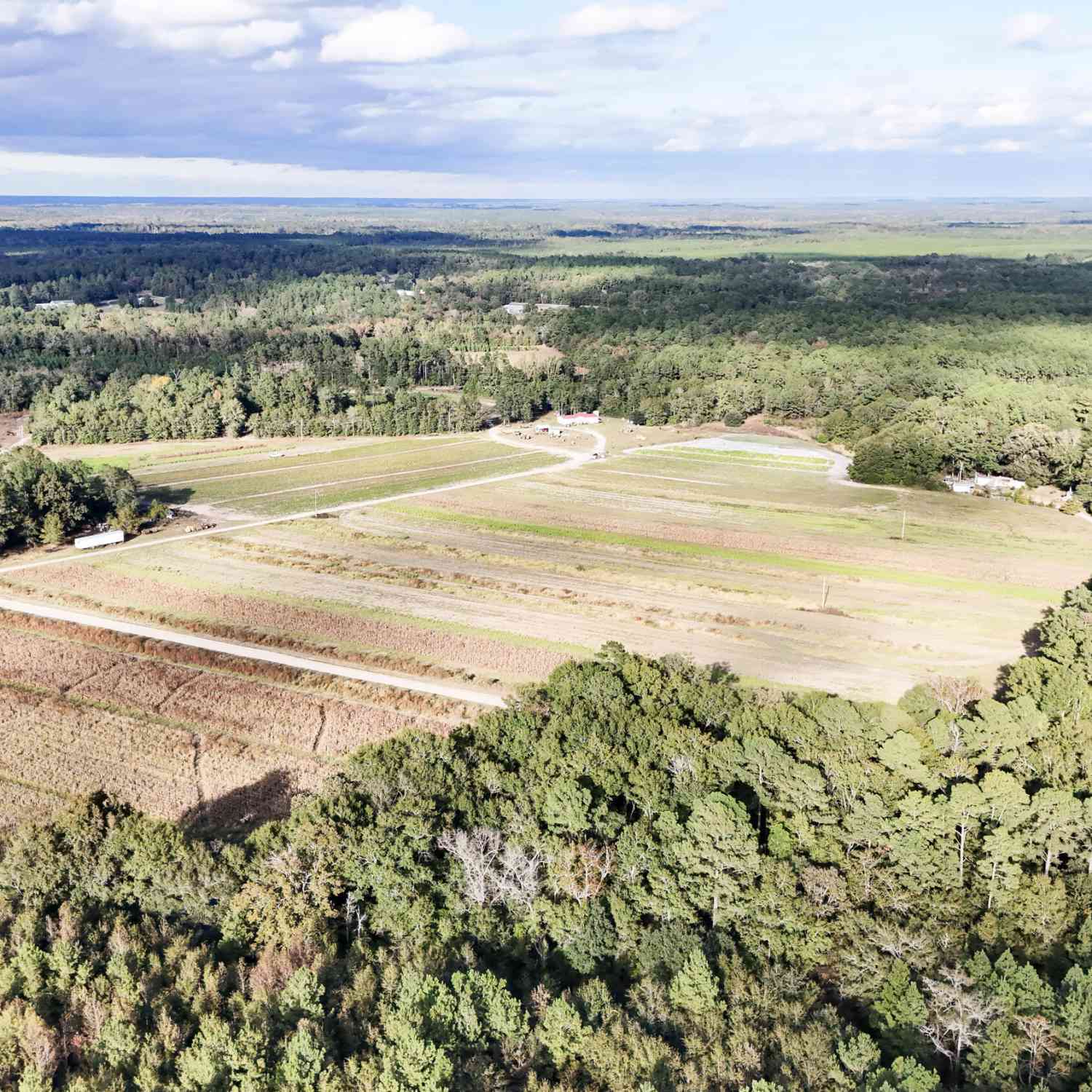 Vacant Land For Sale - Chavis Road<br/> Barnwell County, Hilda, SC 29813
