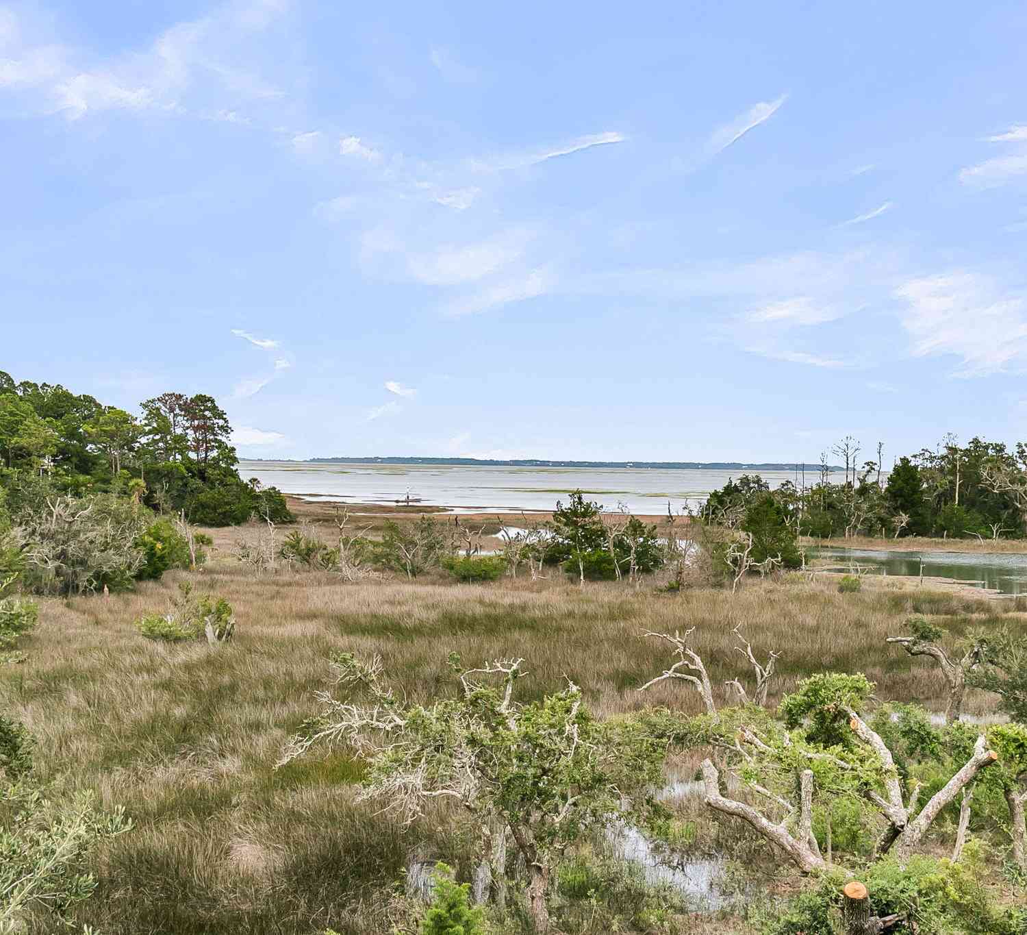 Homes For Sale - 2072 Amenity Park Drive<br/> Mount Pleasant, SC 29466