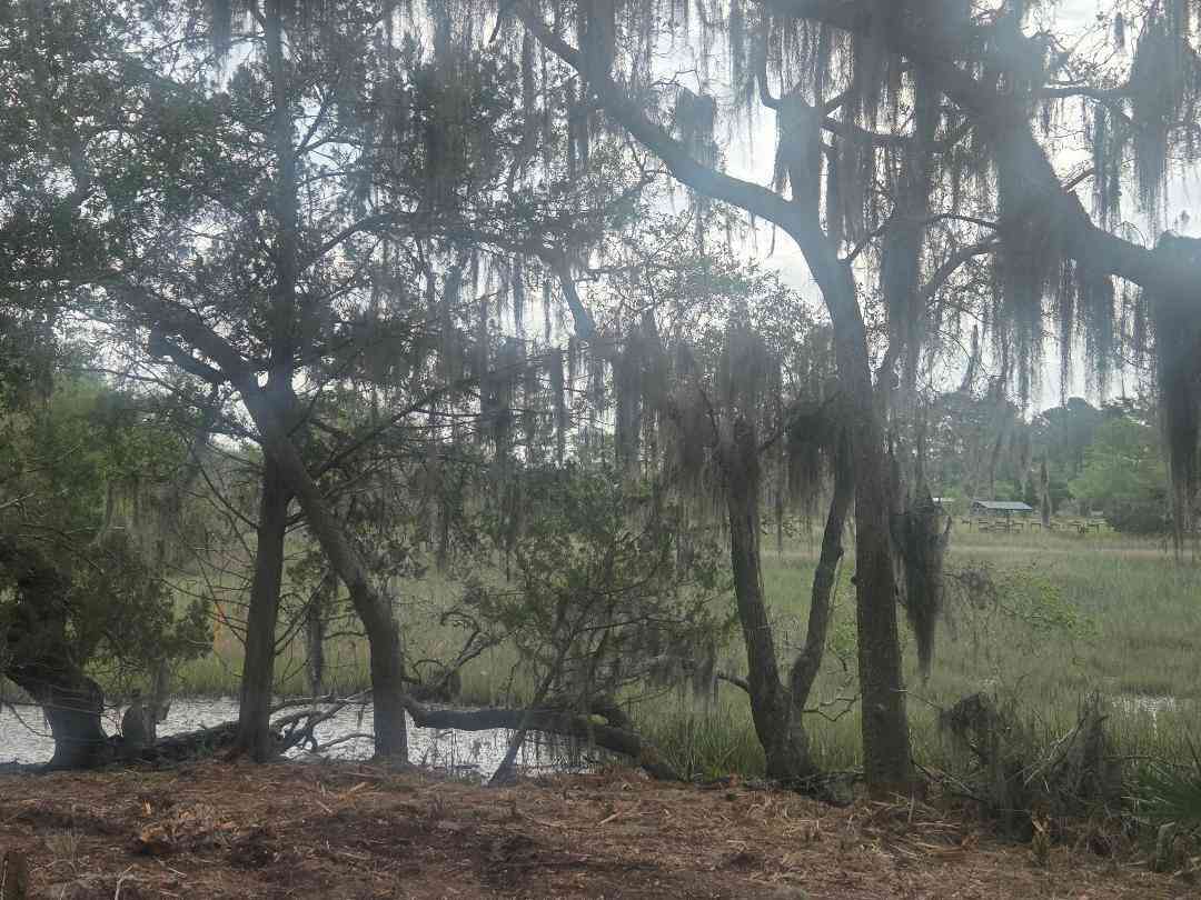 Vacant Land For Sale - LOT 5 Hwy 165 Highway<br/> Meggett, SC 29449