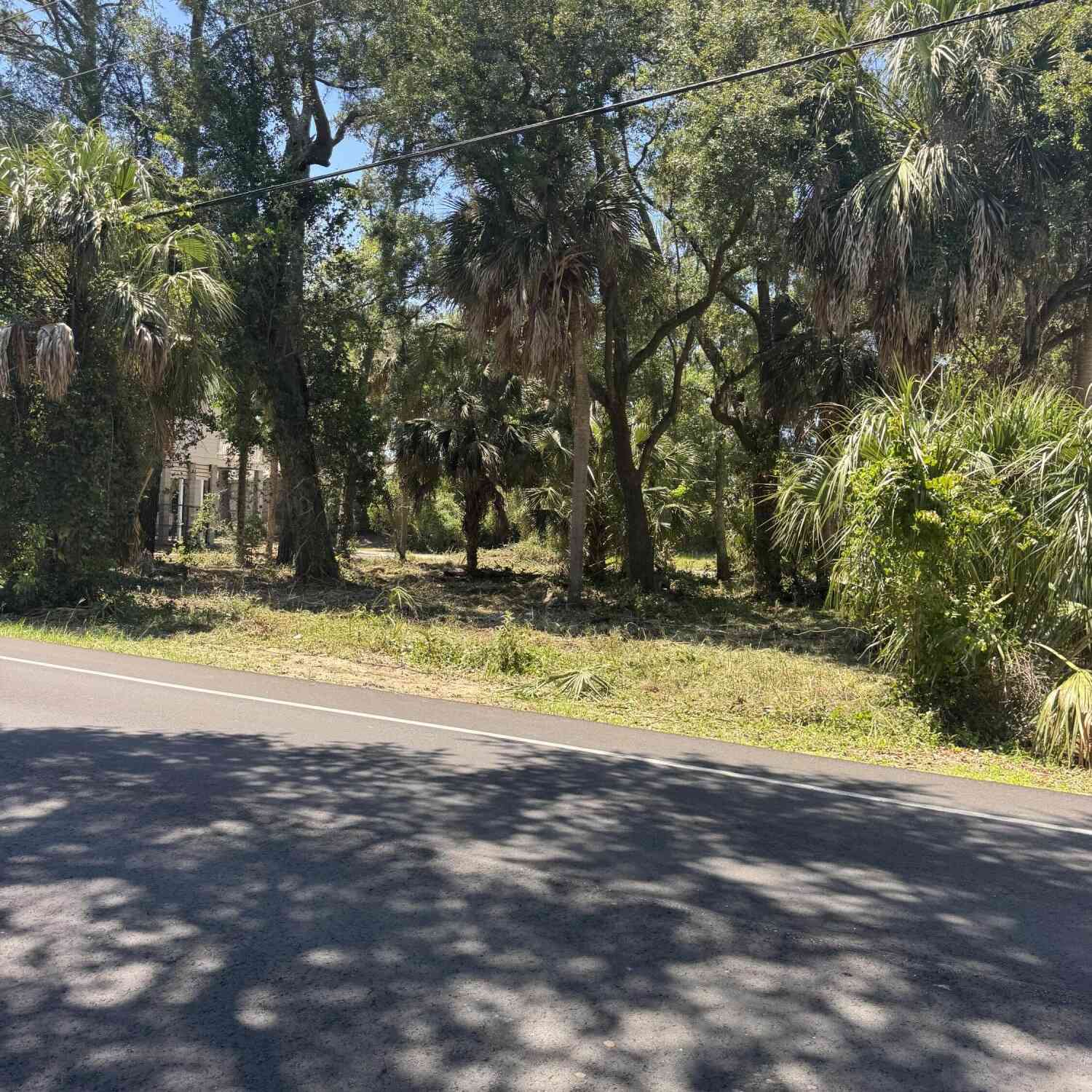 Vacant Land For Sale - 609 Jungle Road<br/> Colleton County, Edisto Beach, SC 29438