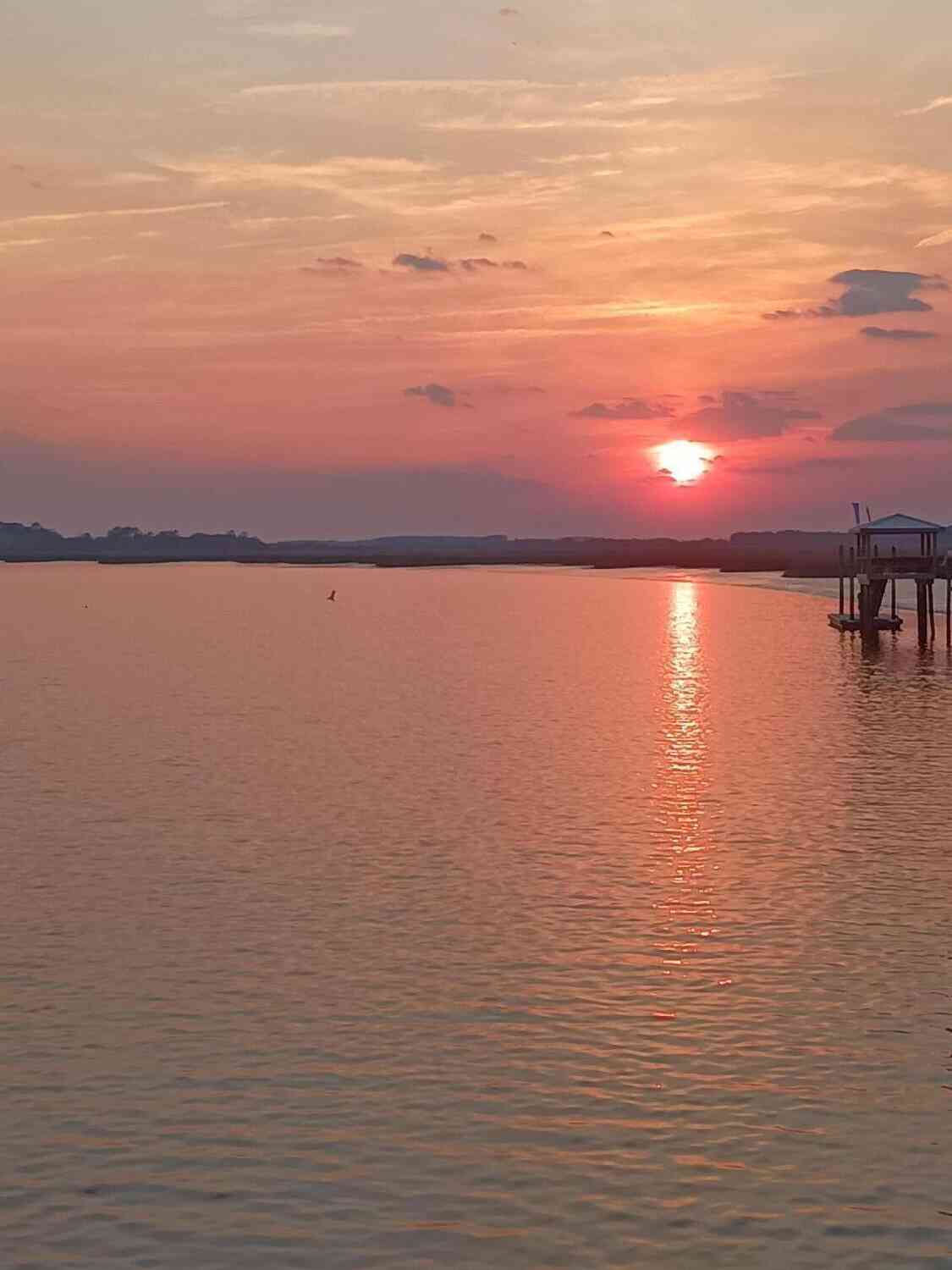 Vacant Land For Sale - 171 Bennett Island Dr.<br/> Green Pond, SC 29446