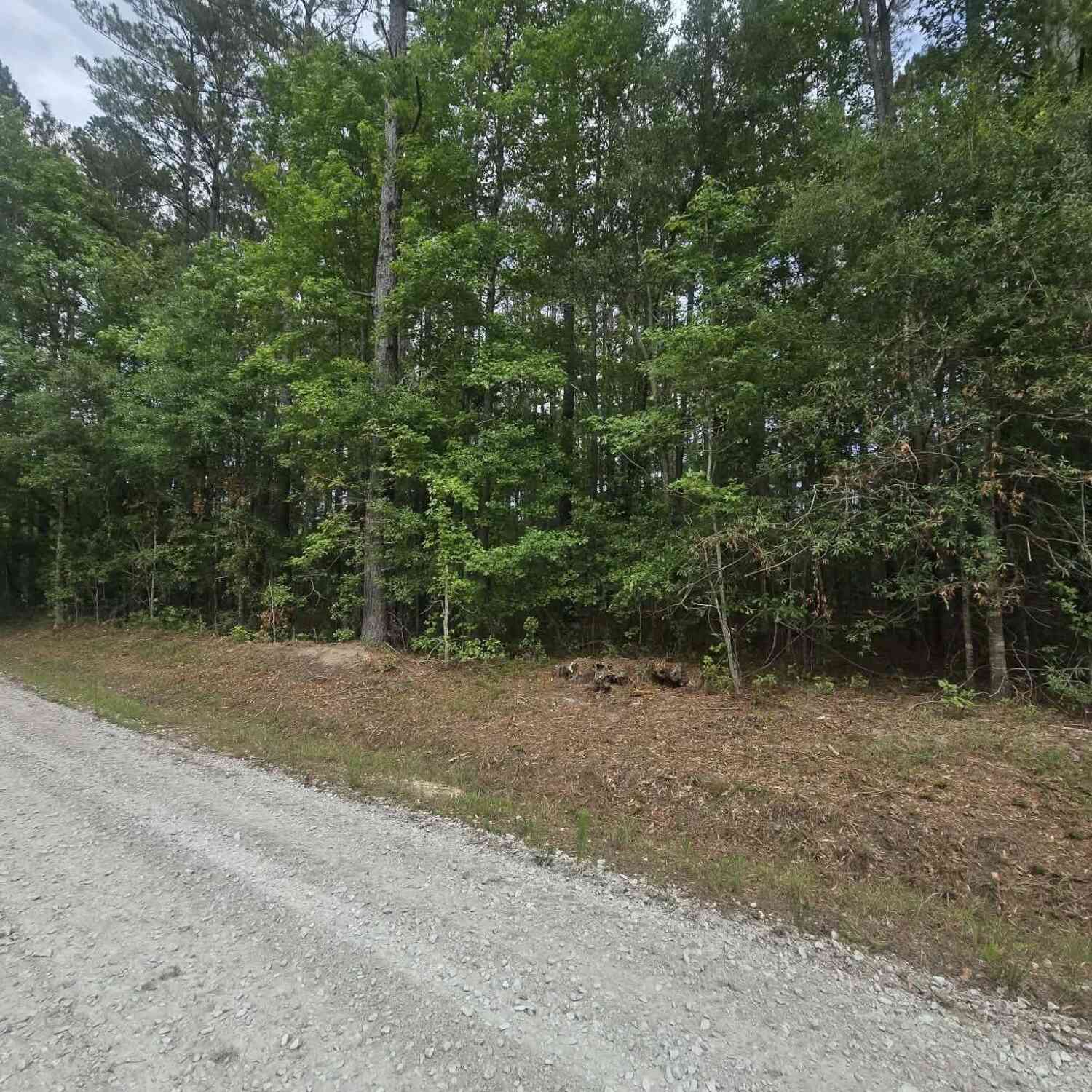Vacant Land For Sale - 000 Drew Hill Ct.<br/> Colleton County, Cottageville, SC 29435