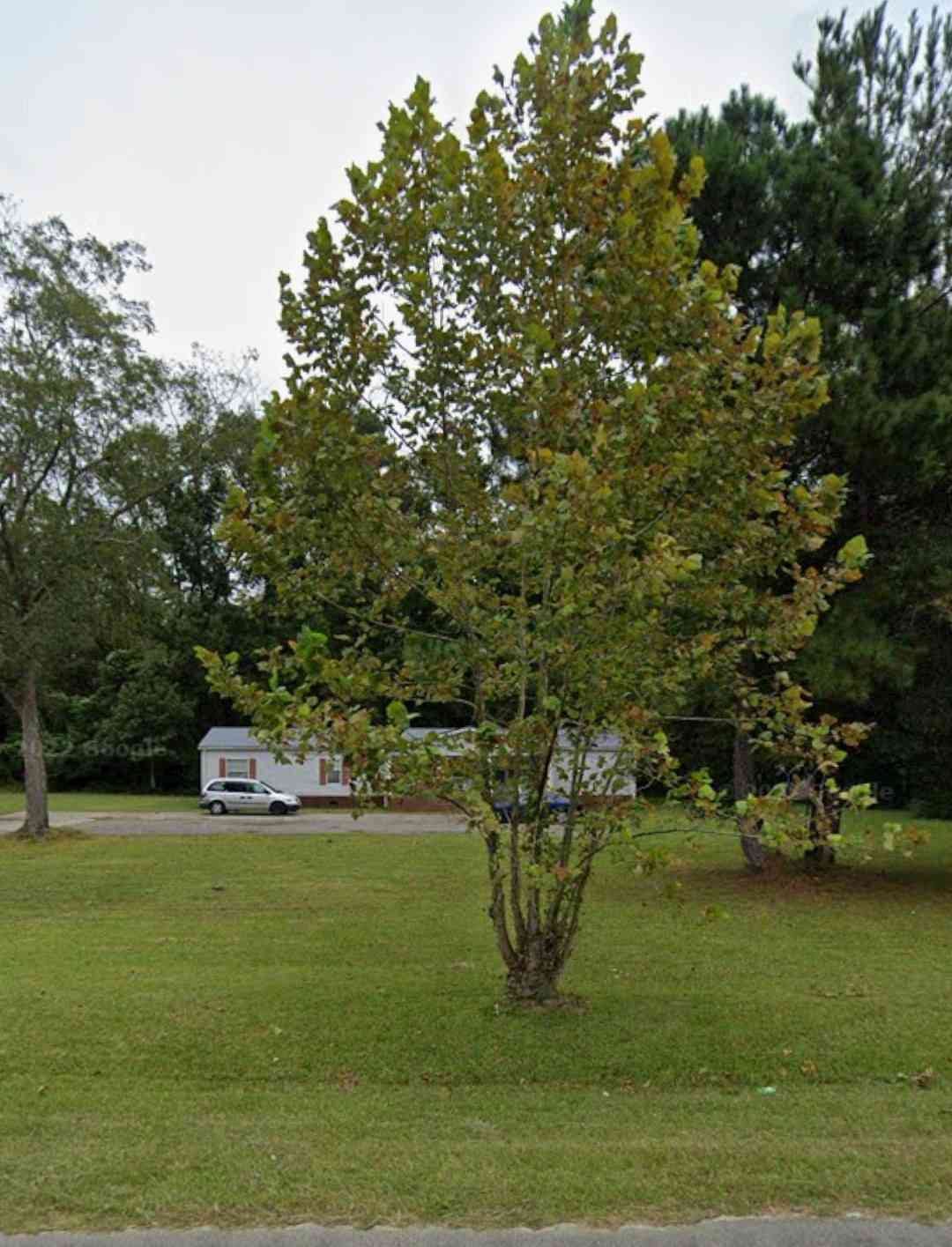 Homes For Sale - 10842 Jefferies<br/> Colleton County, Walterboro, SC 29488