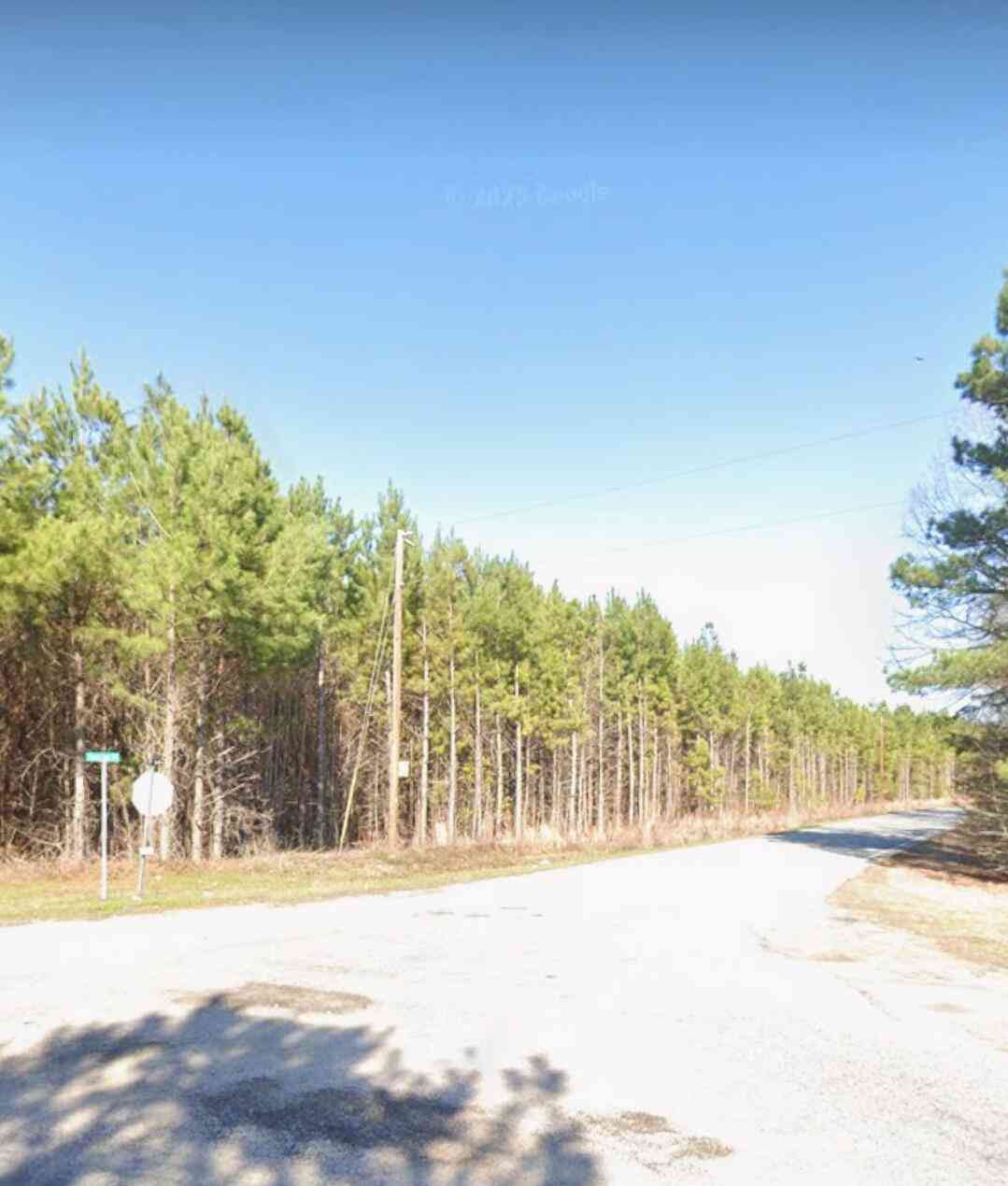 Vacant Land For Sale - 00 Coach Road<br/> Holly Hill, SC 29059