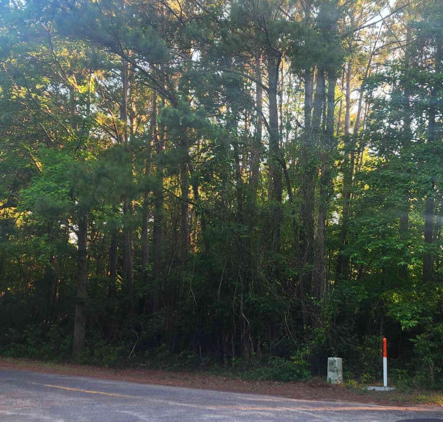 Vacant Land For Sale - Legareville Road<br/> Johns Island, SC 29455