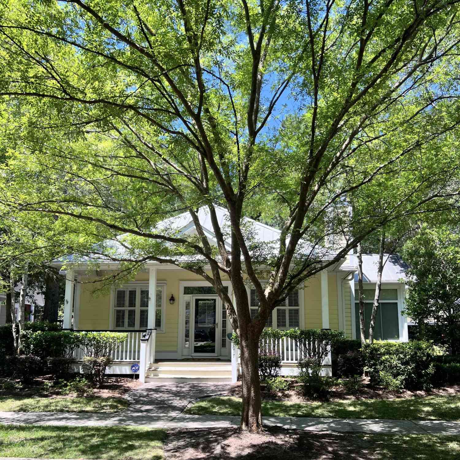 Homes For Rent - 7017 Schooner Street<br/> Charleston, SC 29492