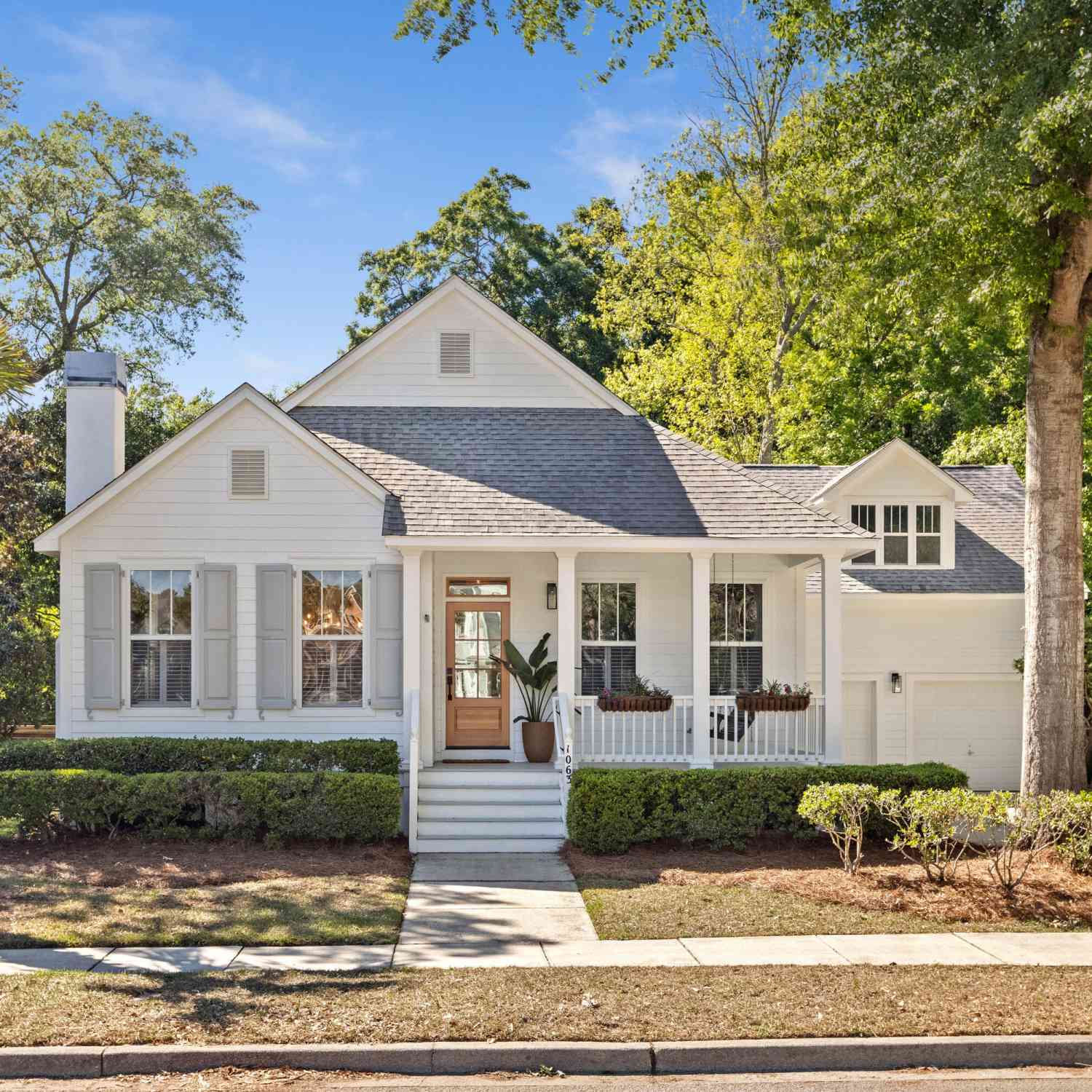 Homes For Sale - 1063 Barfield Street<br/> Charleston, SC 29492